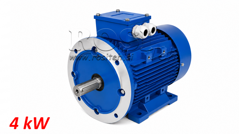 4KW-ELEKTRISCHE MOTOR MS100L3-4 4_1430RPM 3FASE VOETEN+FLANGE-B3B5