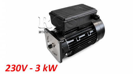 NADOMESTNI MOTOR ZA HIDRAVLIČNI AGREGAT 230V 3kW