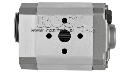 HÜDRAULIKAPUMP 10C8X179 GR.1 - 8cc - PAREM