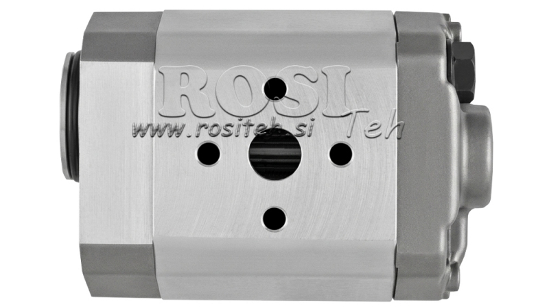 HÜDRAULIKAPUMP 10C8X179 GR.1 - 8cc - PAREM