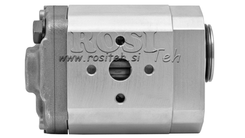 HÜDRAULIKAPUMP 10C8X179 GR.1 - 8cc - PAREM