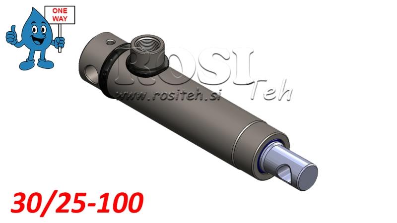 HYDRAULINEN SYLINTERI MONO 30/25-100