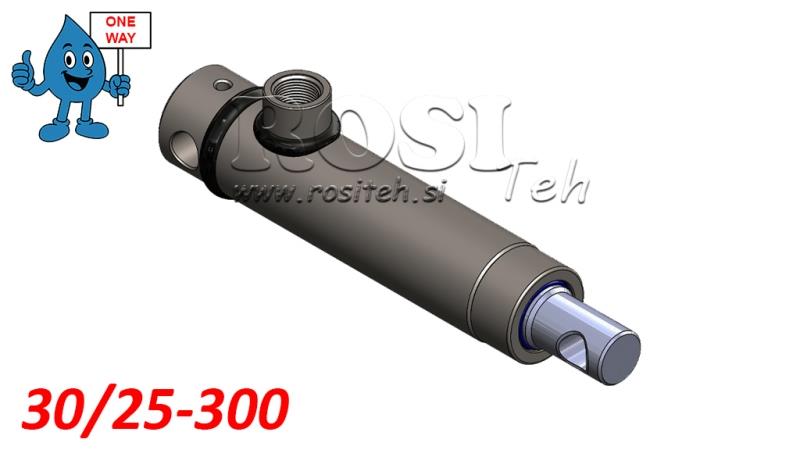 HYDRAULINEN SYLINTERI MONO 30/25-300