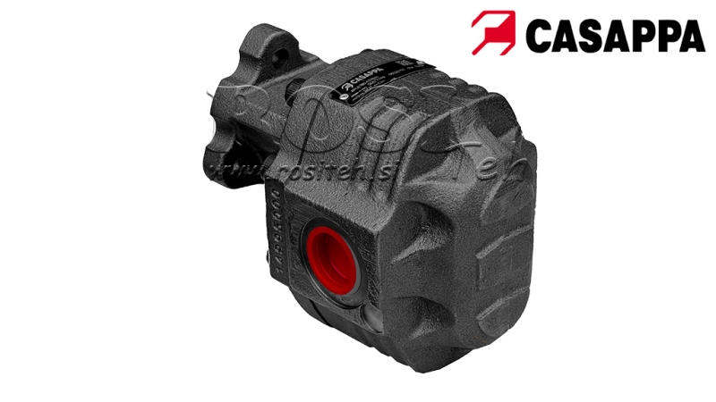 HYDRAULISCHE GEGOTEN IJZER POMP OMKEERBAAR 40CC CASAPPA