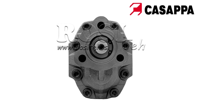 HYDRAULISCHE GEGOTEN IJZER POMP OMKEERBAAR 40CC CASAPPA