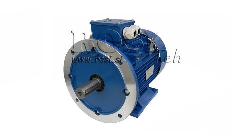 ELEKTRISCHE MOTOR 2P B3B5 3F 
