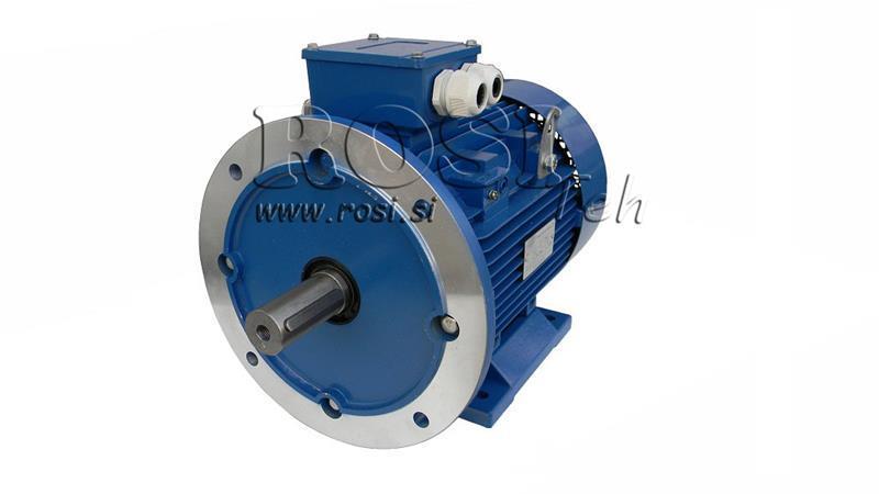 ELEKTRISCHE MOTOR 2P B3B5 3F 