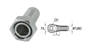 VROUWELIJKE-DKOS-AANSLUITINGEN