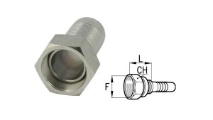 BSP-VROUWELIJKE-AANSLUITINGEN
