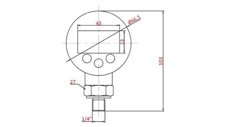 DIGITALE MANOMETER DN63 VERTICAAL 0 - 600 BAR - 1/4