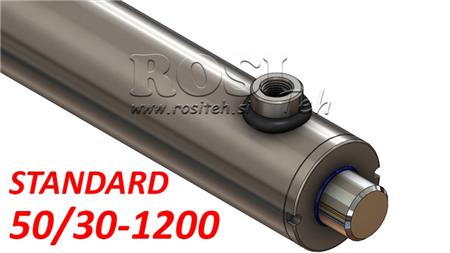 HYDRAULISCHE CYLINDER STANDAARD 50/30-1200